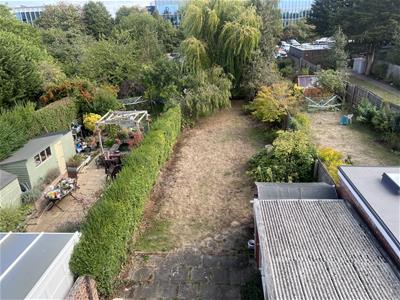 Picture 14